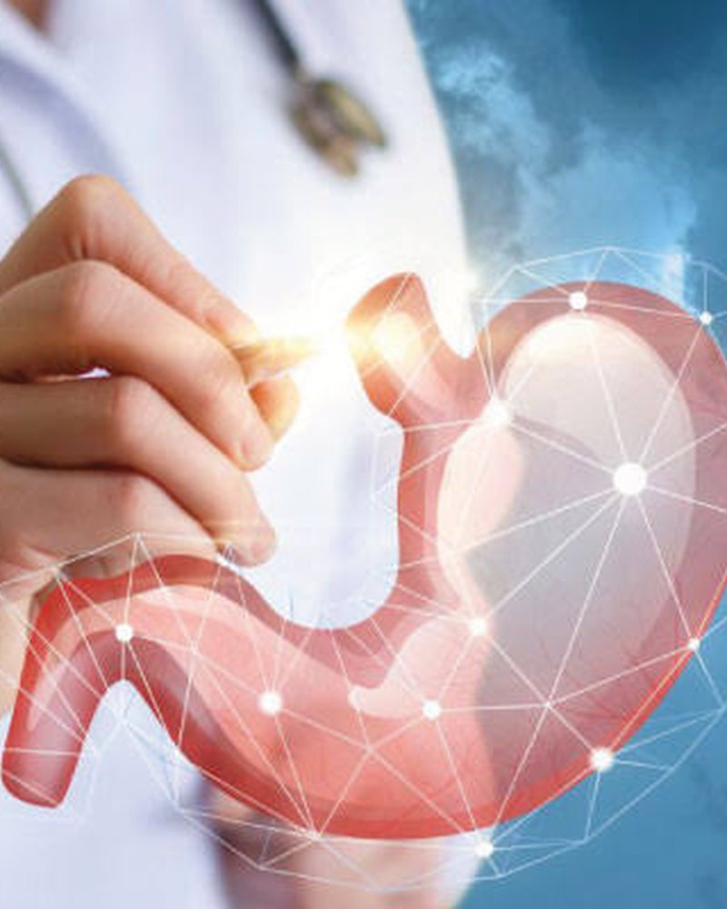 Ilustración del estómago — Gastroenterología